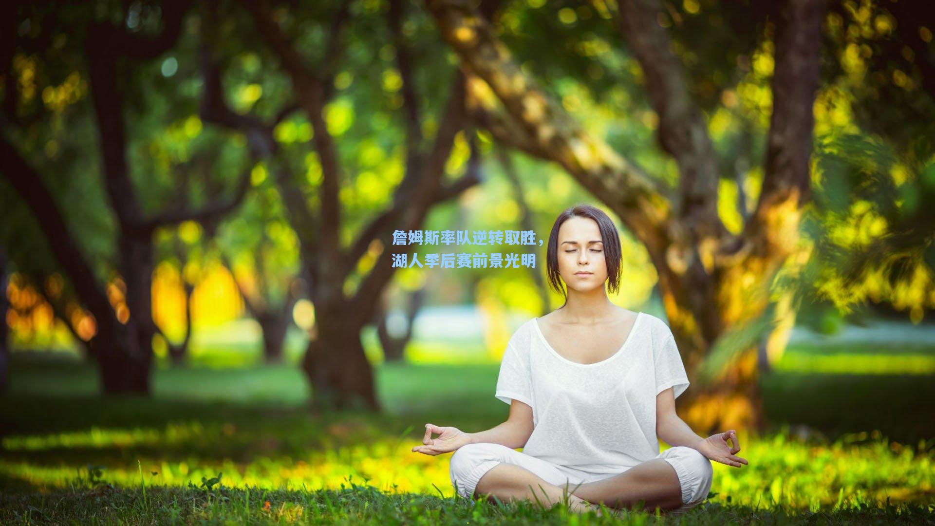 詹姆斯率队逆转取胜，湖人季后赛前景光明