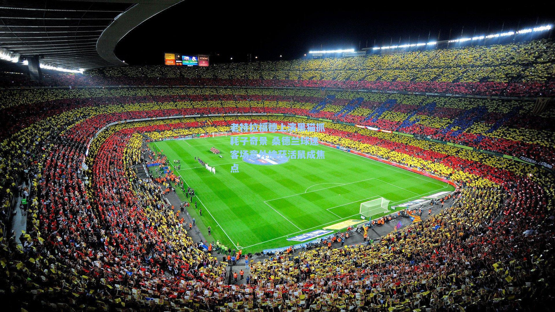 老特拉福德上演黑猫抓耗子奇景 桑德兰球迷客场意外擒获活鼠成焦点