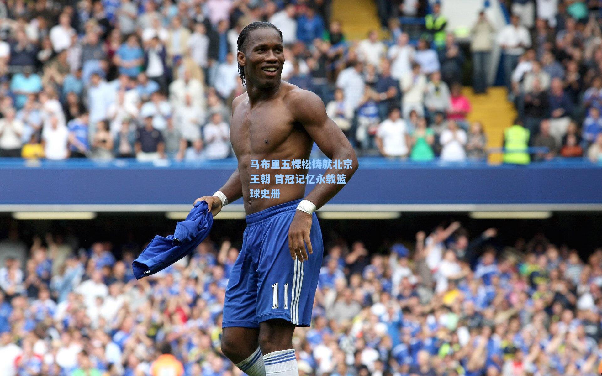 ng体育app_马布里五棵松铸就北京王朝 首冠记忆永载篮球史册